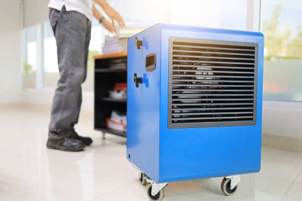 Best Mold Remediation for Healthcare Facilities  in Clio, AL