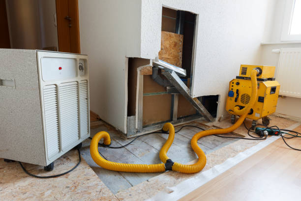 Clio, AL Mold Removal Pros